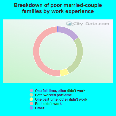 Breakdown of poor married-couple families by work experience